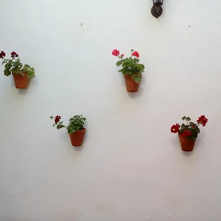 Porvera Jerez Apartment